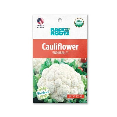 Cauliflower - 'Snowball Y'